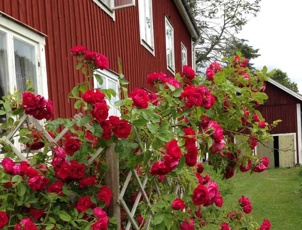 STF Regnagården Vandrarhem Exteriör bild